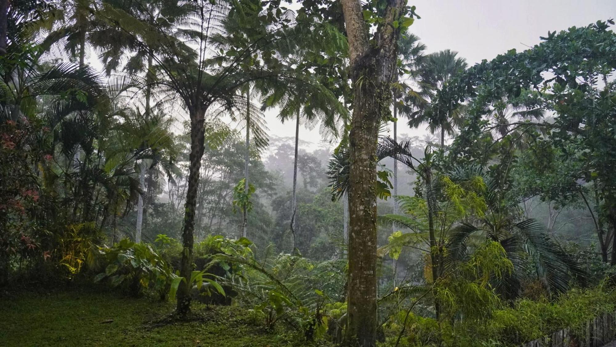 Sandhya Villa Ubud Exteriör bild