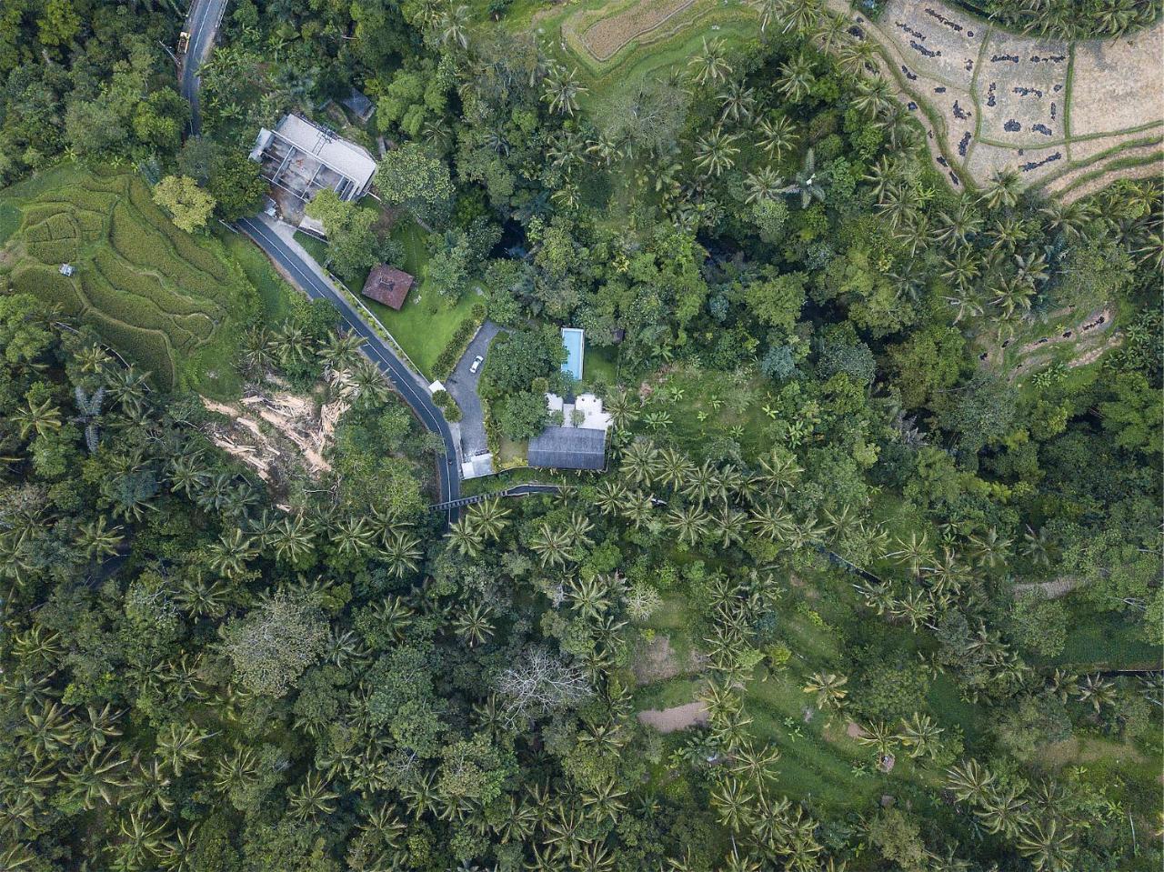 Sandhya Villa Ubud Exteriör bild